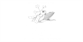 Carolina Clarity